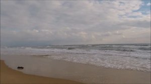 Анапа. Дикие пляжи Витязево. Прогулка по Витязевской косе.