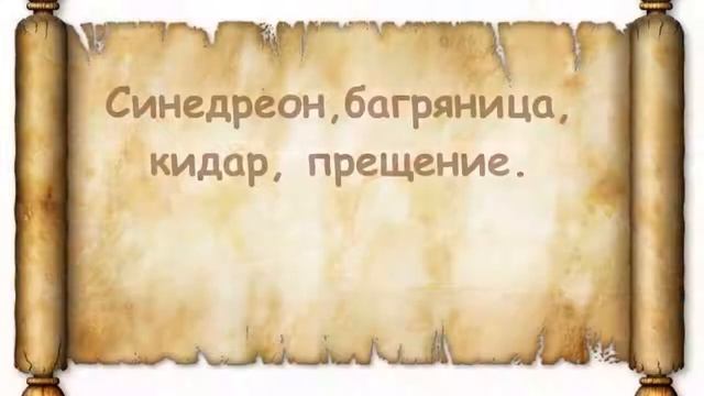 Советы читающим Библию  Поучительный слайд для детей и подростков, журнал Светильник №8 2013 2