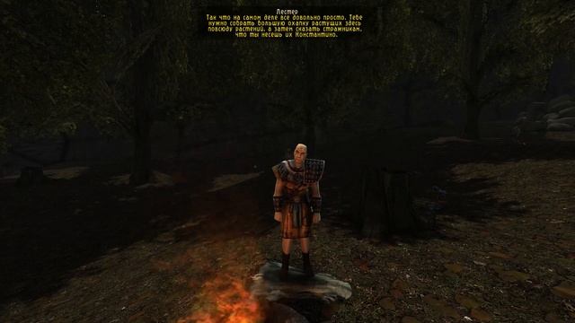 Gothic 2 Готика 2 Возвращение 2.0 прохождение №3 Путь к Лестеру, где Лестер как найти