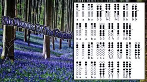 The Flowers Of The Forest - Tin Whistle - flute Irlandaise -Tabs and notes