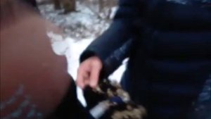 МАРКОВКА НЕ МАРКОВКА?