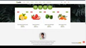 Qualis - Organic Food Responsive eCommerce WordPress Theme 15 Grocery Store Easy Create Website