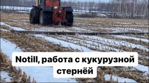 Нотилл. Работа с кукурузной стернёй.