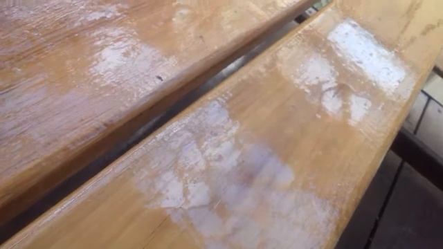 Как выглядит жук-насорог. смотреть онлайн