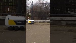 Яндекс робот