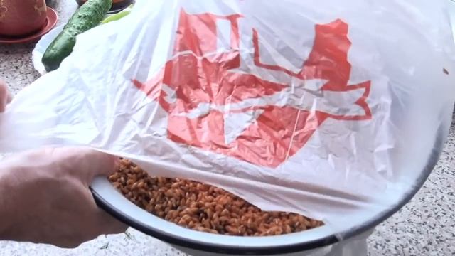 Проросшее зерно - приготовление.
