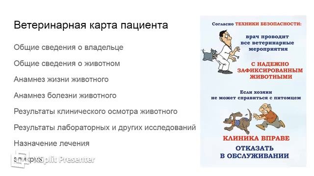Что такое анамнез, как проконсультироваться с ветеринаром. смотреть онлайн