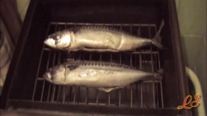 Как закоптить скумбрию в мини-коптильне.