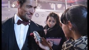 DAVID GANDY O'SARRACINO