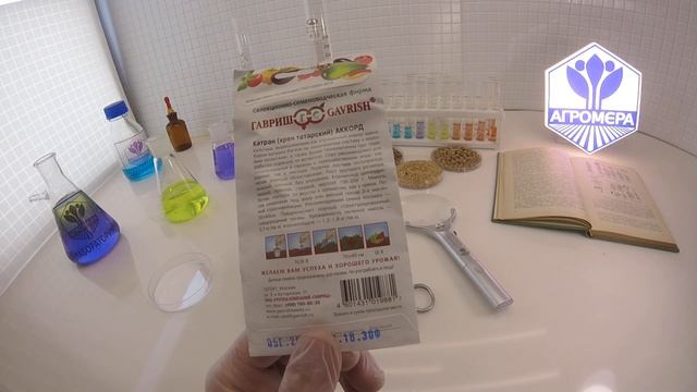 Катран Аккорд. Гавриш смотреть онлайн