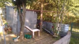 Старые пни теперь не проблема. Сабельная пила