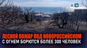 Лесной пожар под Новороссийском: огонь охватил 62 га земли