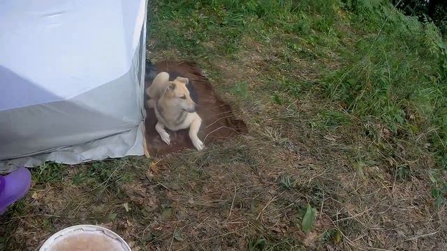 Рыбачим. Третий день отдыха с женой на Вятке.. смотреть онлайн