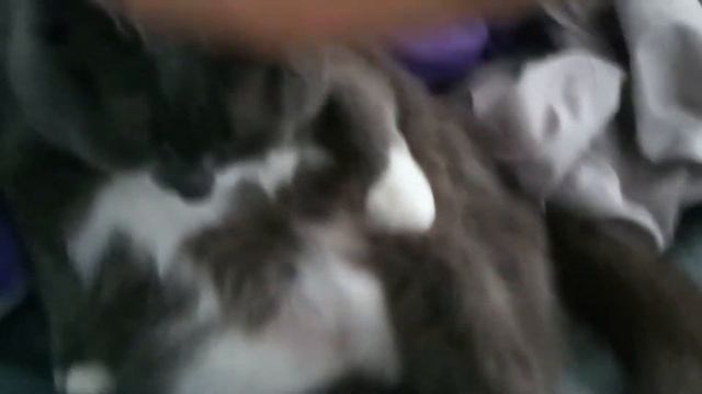 Все таки какая то реакция на тромбон есть смотреть онлайн