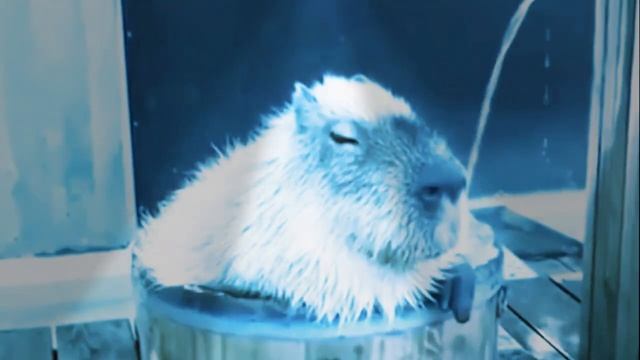 капибара просто спит ??? смотреть онлайн