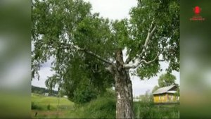 ♪ ТУЛЫС СЯСЬКАОС Геннадий  Ганьков (КАРАОКЕ)