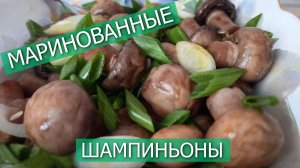 Маринованные грибы шампиньоны быстрого приготовления