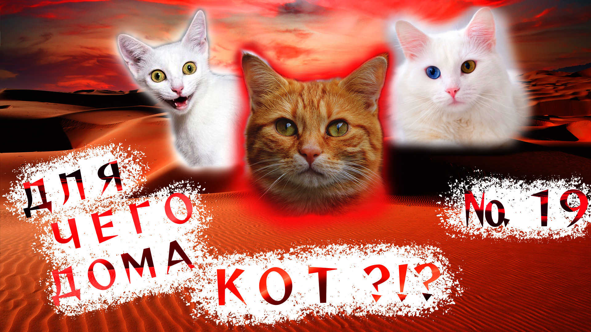 Вот зачем дома НУЖЕН КОТ!!! ?(19). смотреть онлайн