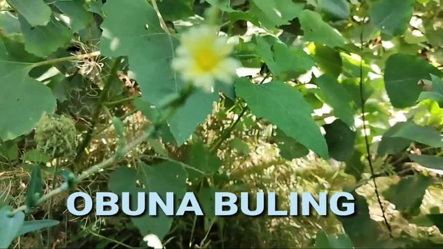 24-25-СЕНТЯАБР БАРЧА ТАЙОР ТУРСИН ОБ-ХАВО КЕСКИН ЎЗГАРАДИ КЕЧ БУЛМАСДАН ОГОХ БЎЛИНГ ХАЛҚ смотреть онлайн