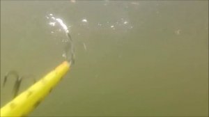 Воблер Kosadaka Flash XS 130 F, воблер Kosadaka Sol Popper