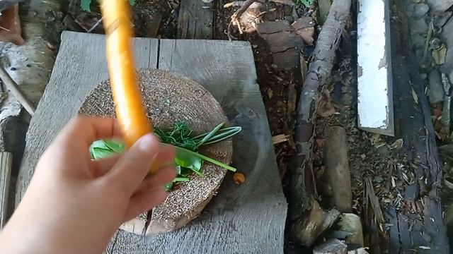 Приключения 2 серия