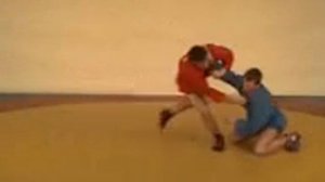 Приёмы самбо