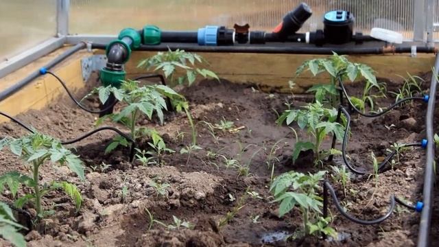 Капельный Полив Для Открытого Грунта смотреть онлайн