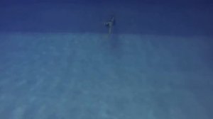 Cын Илья на задержке дыхания 40м под водой в бассейне у Морганов
