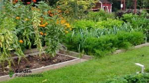 Your First Vegetable Garden 🌽🍅🍆 Planning the Garden