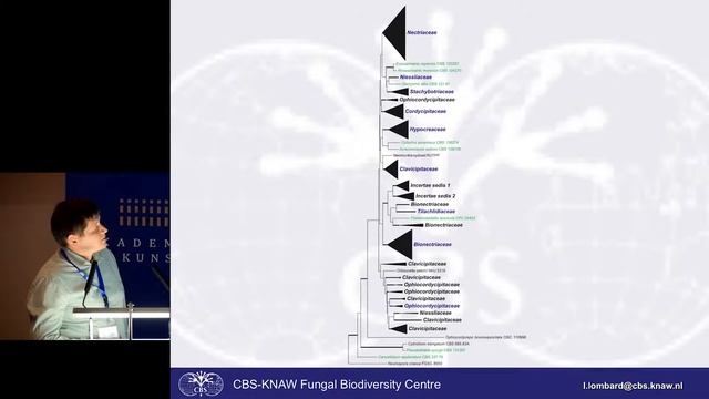 09 Lorenzo Lombard et al Hypocreomycetidae смотреть онлайн