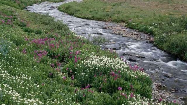 ALLAH TEKBIR download free book reader on ur phone java and 3 e books смотреть онлайн