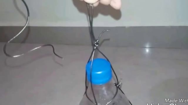 Hummingbird feeder, Bird Feeder from Water Bottle, Best Technic for Water Feeder. смотреть онлайн