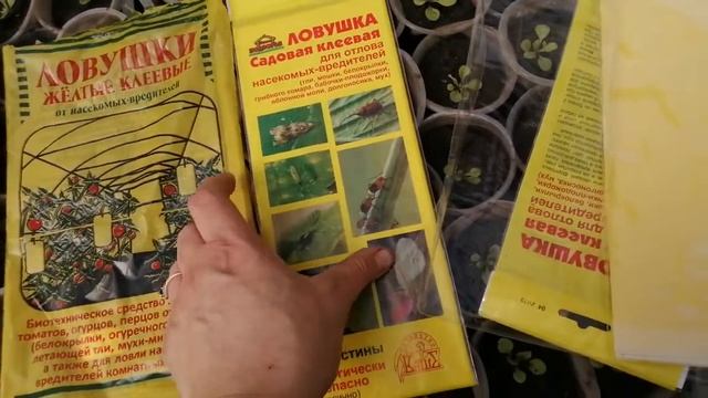 Клеевые ловушки ?! Плюсы и минусы! Какая лучше? смотреть онлайн