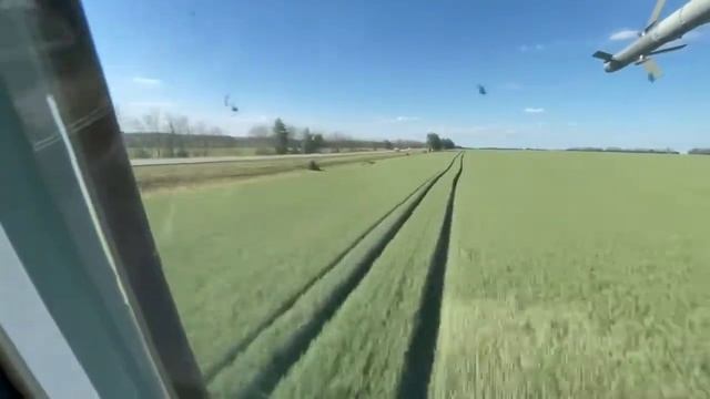 "Товарищ прапорщик, а крокодилы летают?" "Летают, но низенько-низенько" смотреть онлайн