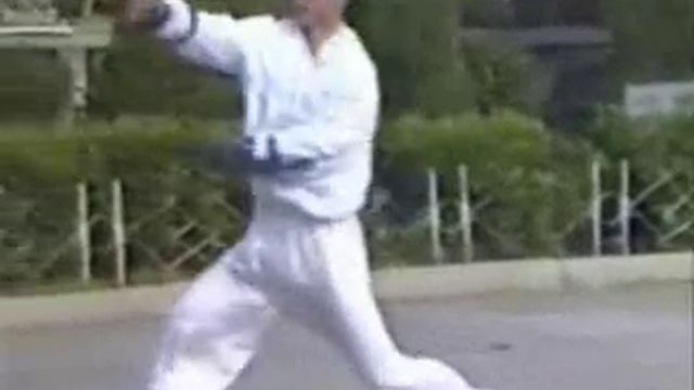 Парные железные наручи-браслеты Богомола 4.flv