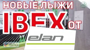 Горные лыжи Elan Ibex (Сезон 2017-18)