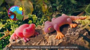Игрушка-сюрприз Jelly Planet Гекконы и лягушки в ассортименте