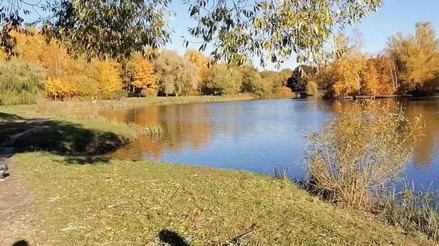 Санкт-Петербург. Южно-Приморский парк. Пруд "Восьмёрка". 21.10.2023.