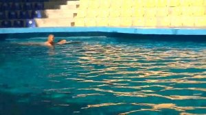 Купание с дельфинами. Дельфинарий "Акварель" в г.Алушта