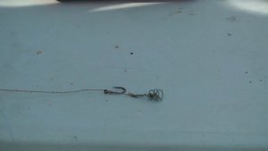 Карповая ловля, оснастка на карпа. Ловля карпа на тесто.