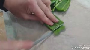 Заморозка овощей и фруктов на зиму.
