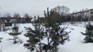 Барское-Мелечкино 870