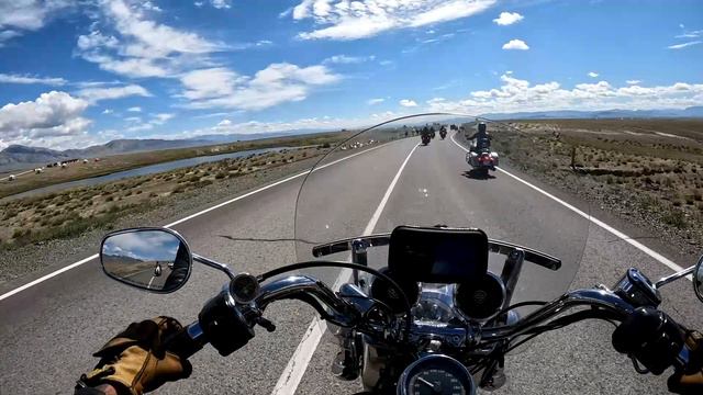 Алтай RED HOG 2024