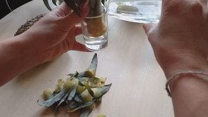 Как дома вырастить ананас?!