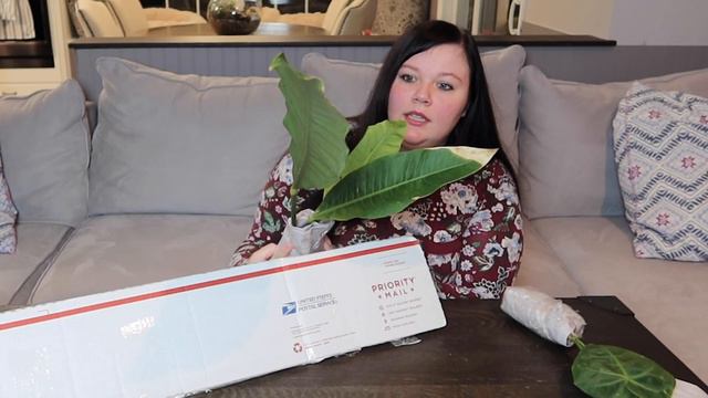 Plant Unboxing | Botanica United States | Anthurium Kiddos смотреть онлайн