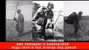 Голодомор репрессия казахов и украин кто же ответит за это
