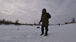 Ловим судака на балансир. Судак активно реагирует на игру балансира.