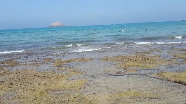 Оманский залив Индийского океана. ОАЭ. Отель Royal beach. Oman bay Fujairah