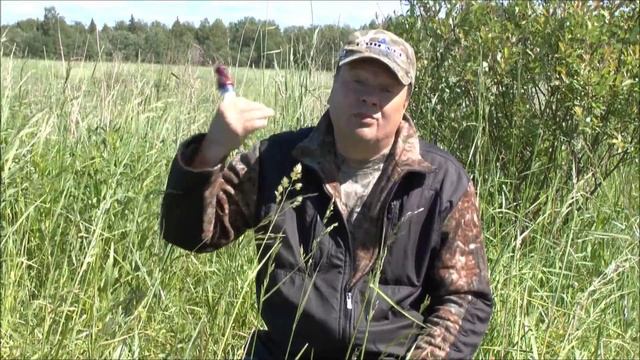 Манок на белолобого гуся JB смотреть онлайн