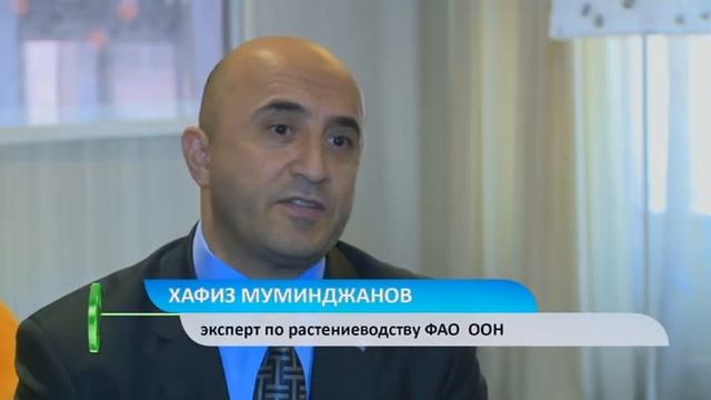 Зеленая экономика. Популяризация органического сельского хозяйства